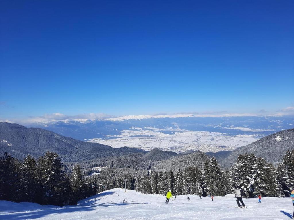 Apartments In Aspen Suites Bansko Rom bilde